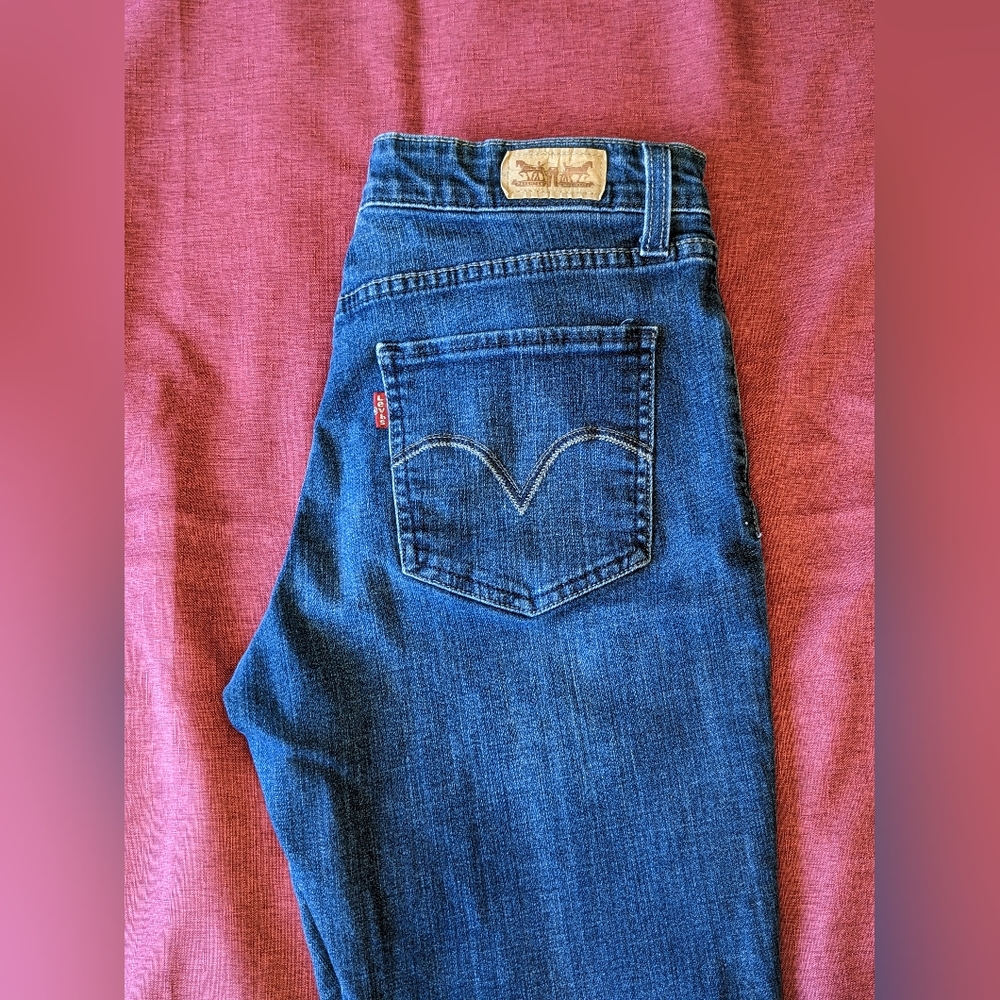 4 Pairs of Levi's Skinny Jeans in Women's Size 8 Curvy